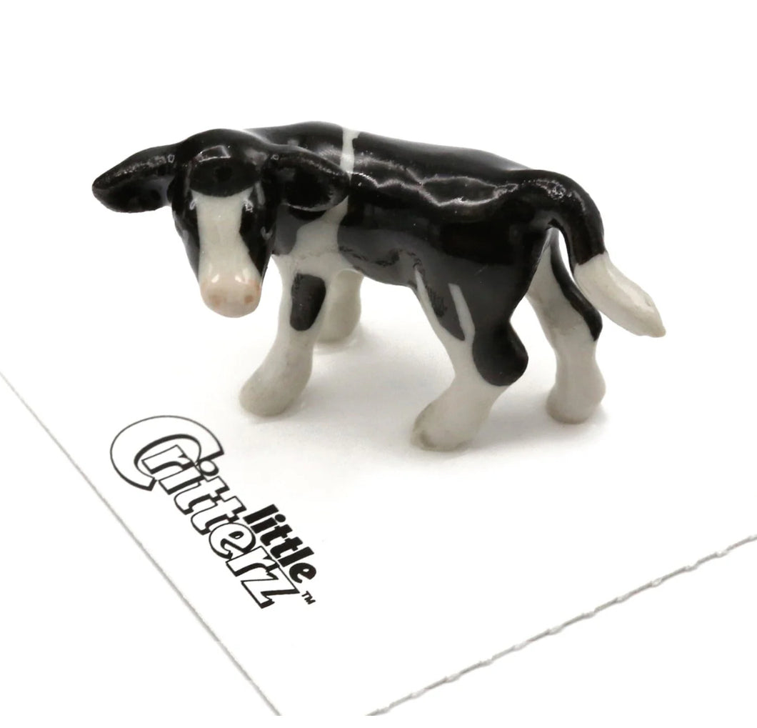 Pauline Holstein Calf