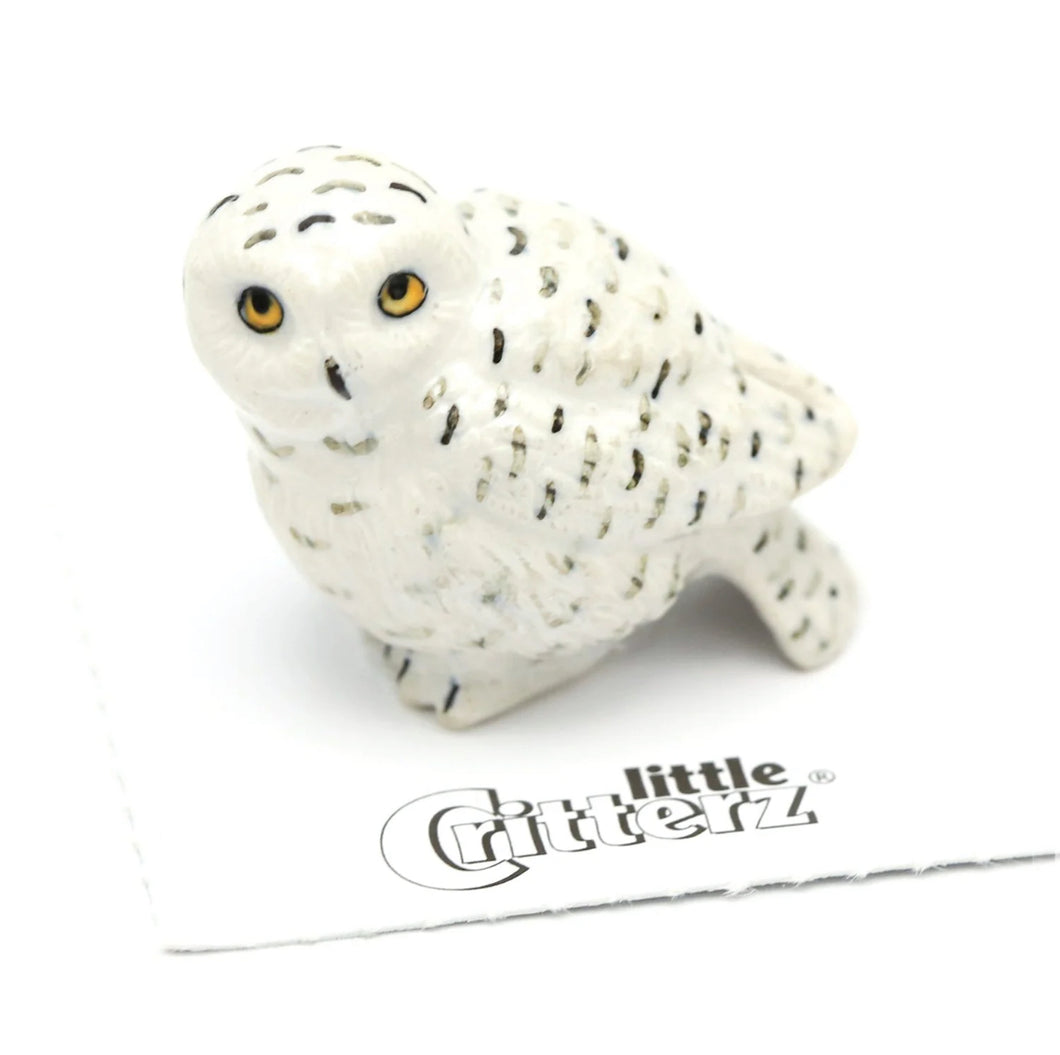 Ghost Snowy Owl
