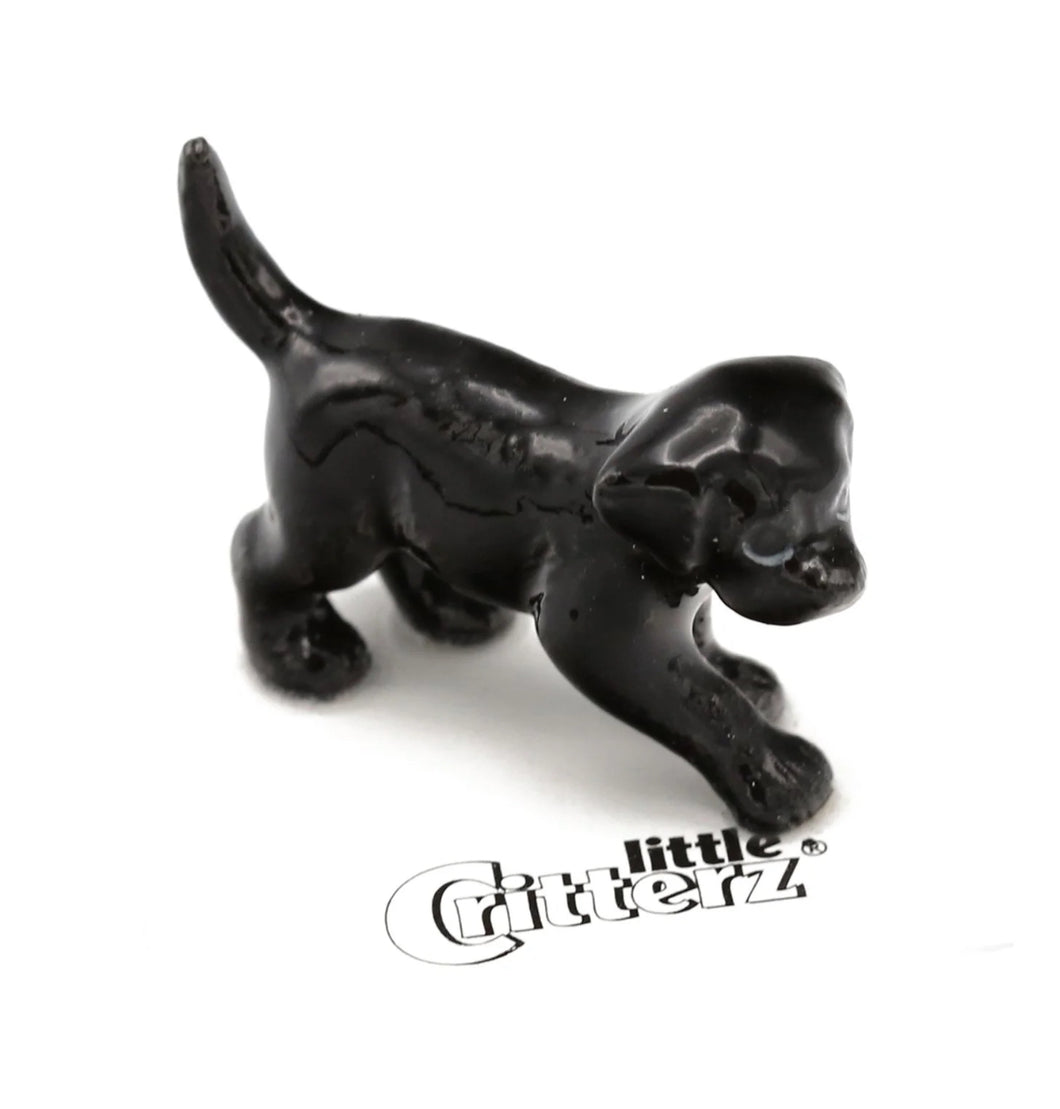 Shadow Black Lab Puppy