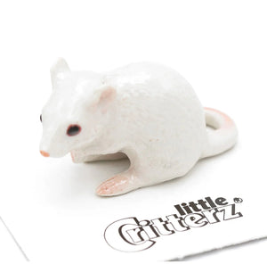 Spirit Animal Mouse