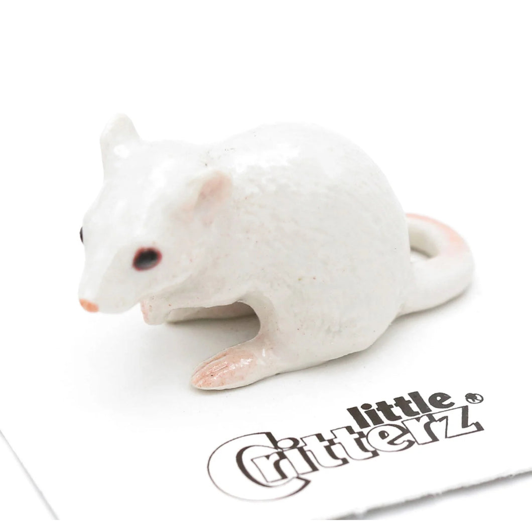 Spirit Animal Mouse