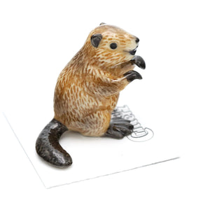 Paddle Beaver