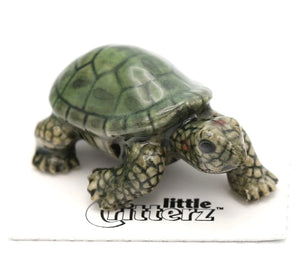 Spirit Animal Turtle