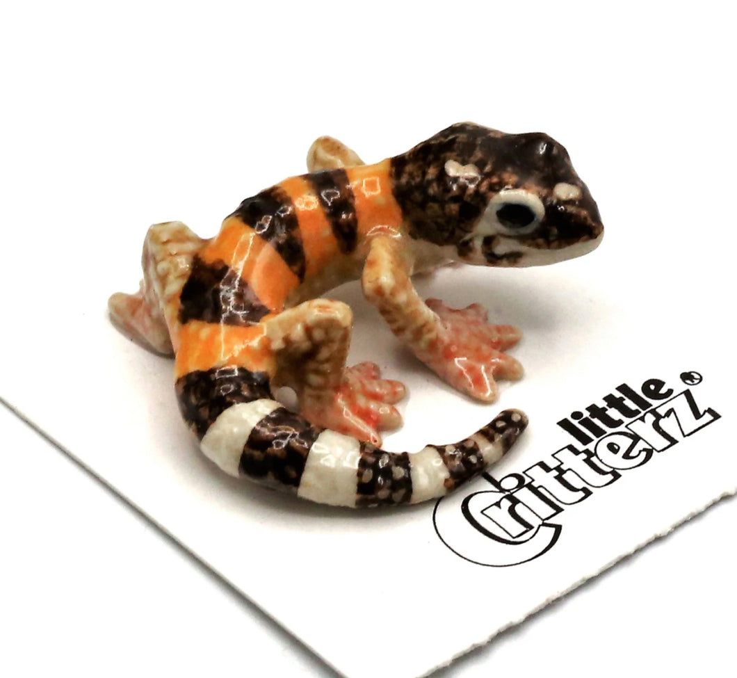 Gladiator Leopard Gecko