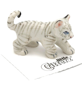 Asia White Tiger Cub
