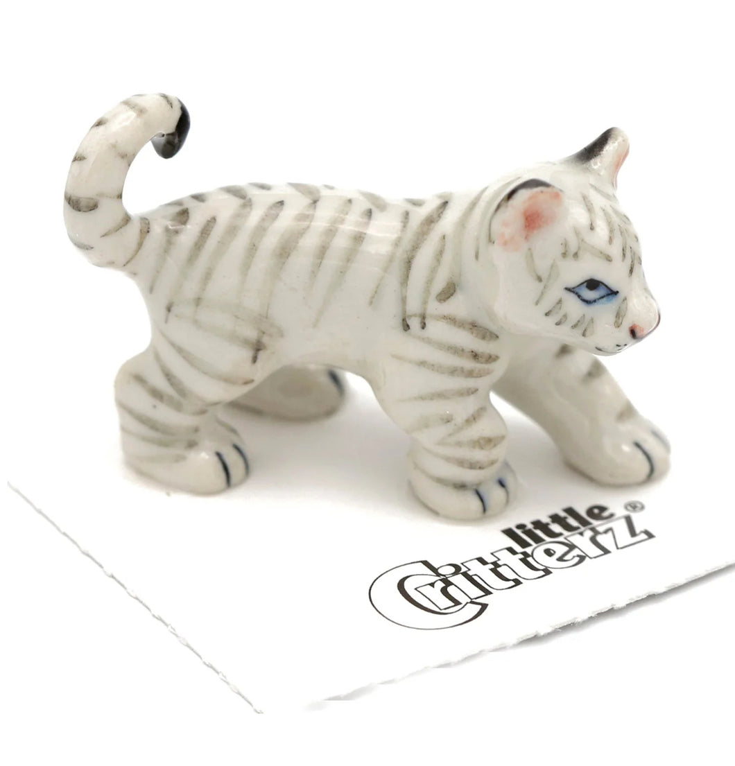 Asia White Tiger Cub