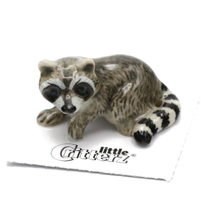 Spirit Animal Raccoon