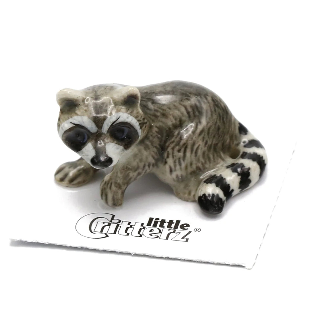 Spirit Animal Raccoon
