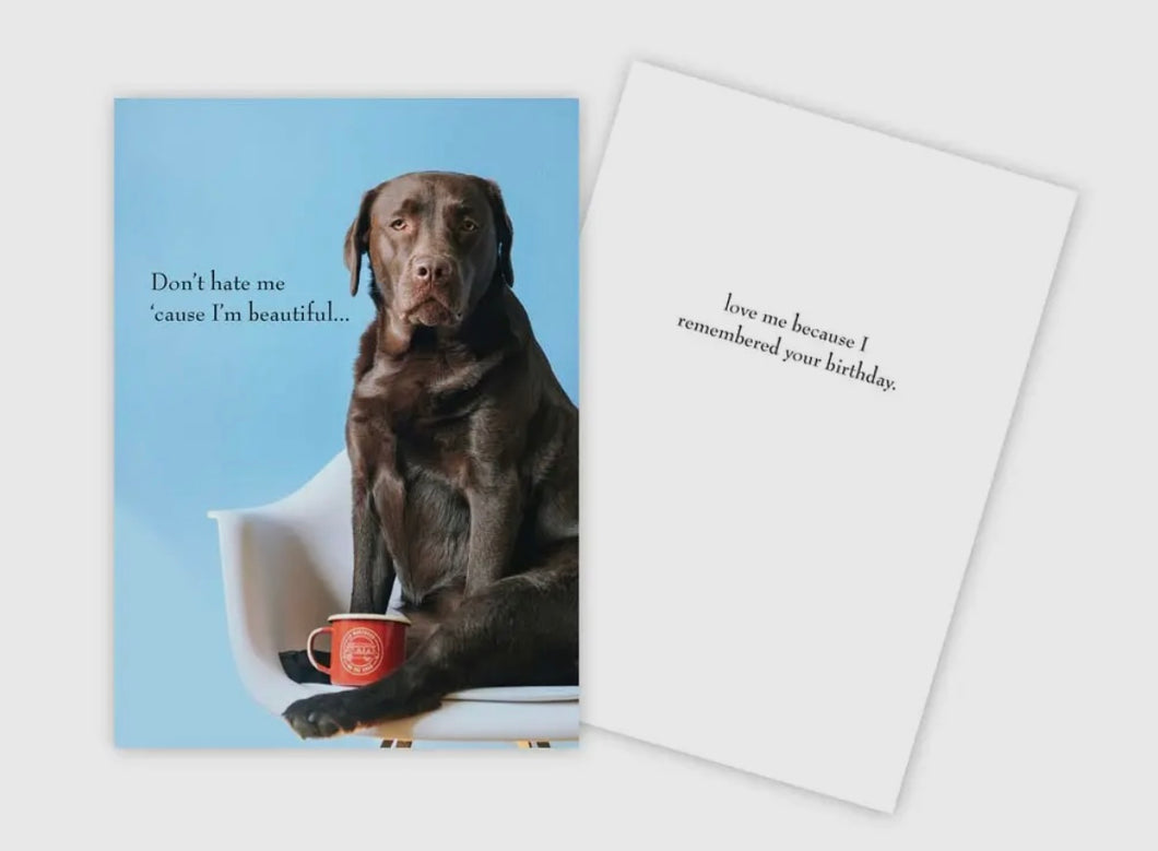 Don't Hate Me Birthday Card
