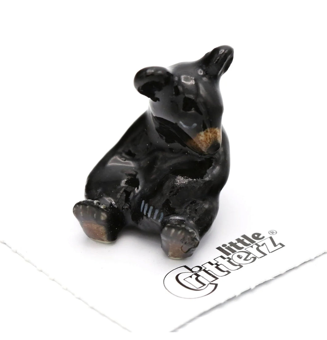 Spirit Animal Black Bear Sitting