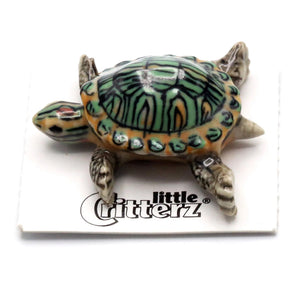 Bask Red-Eared Slider