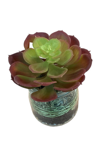 Botanical Jar Red Rosette