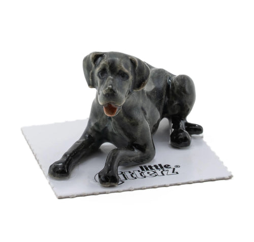 Astro Great Dane