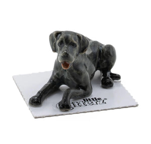 Astro Great Dane