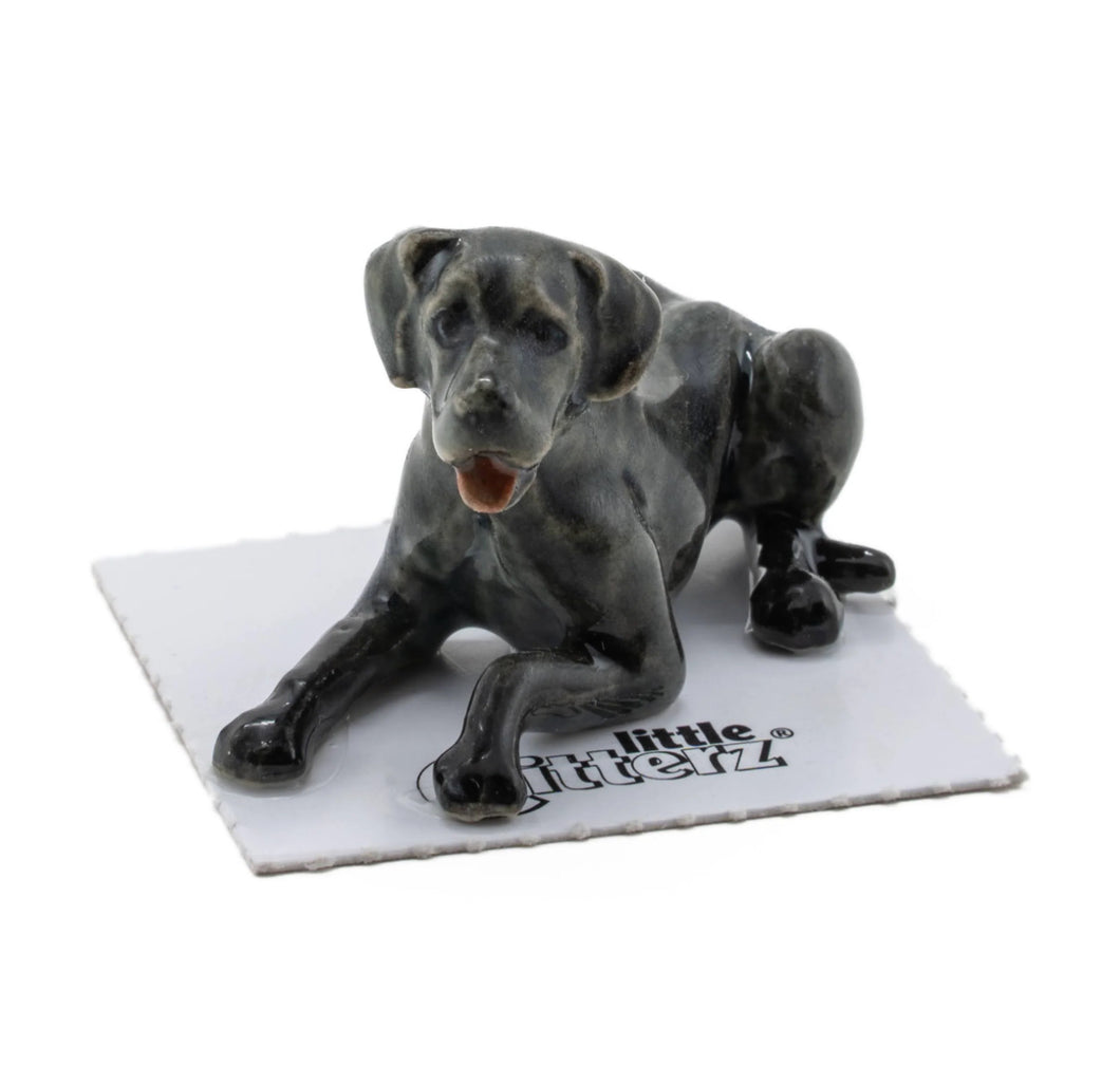 Astro Great Dane