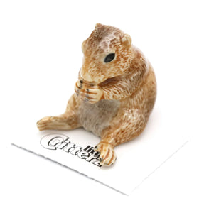 Spirit Animal Prairie Dog