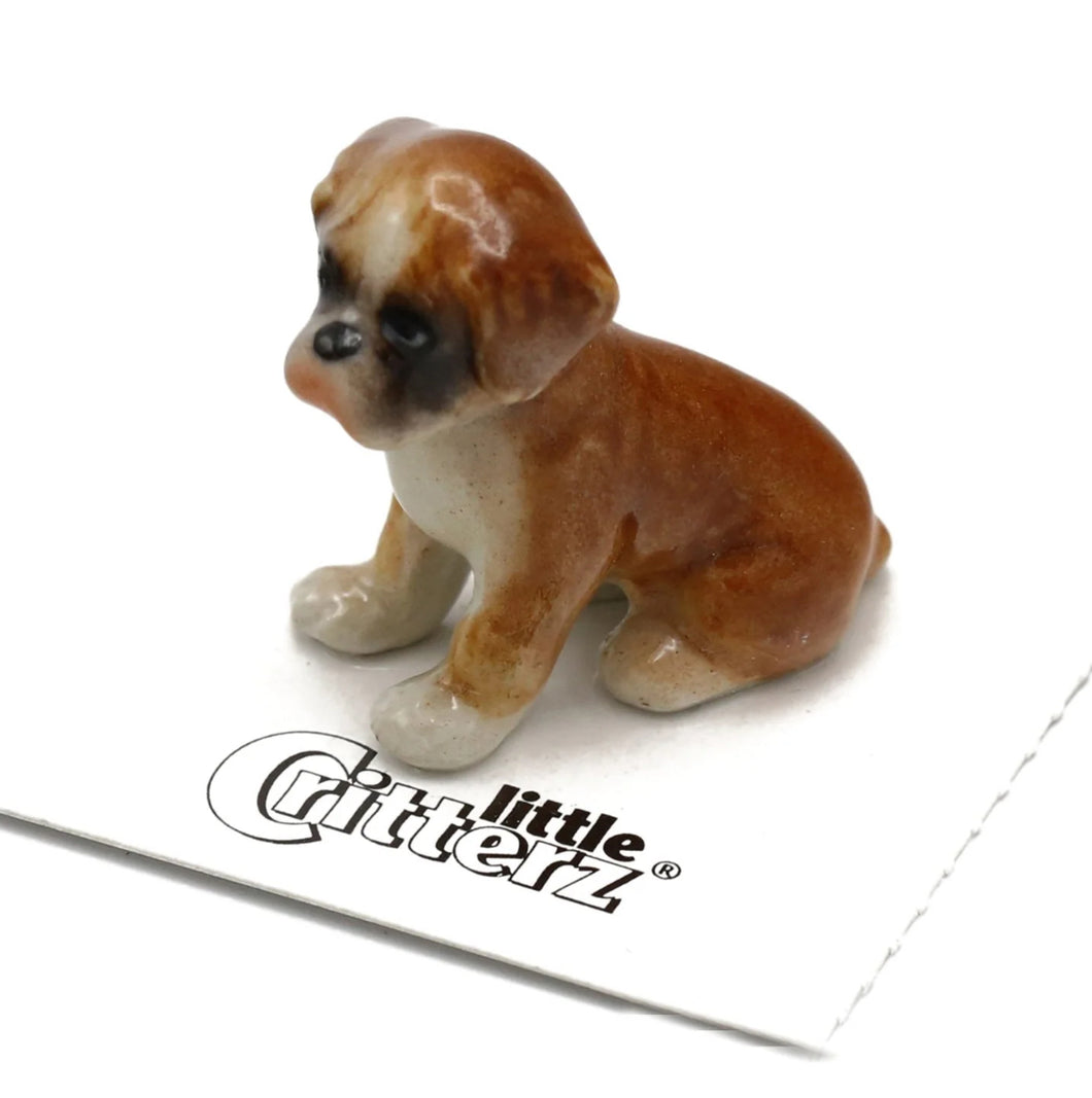 Buddy Boxer Puppy