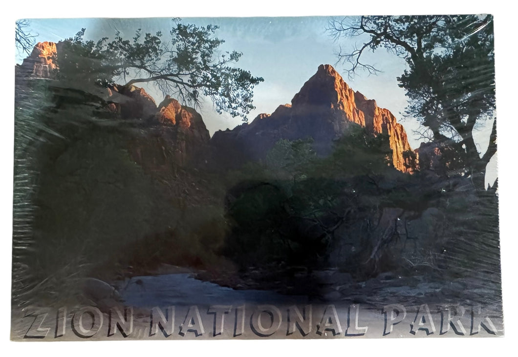 Zion Watchman Postcard