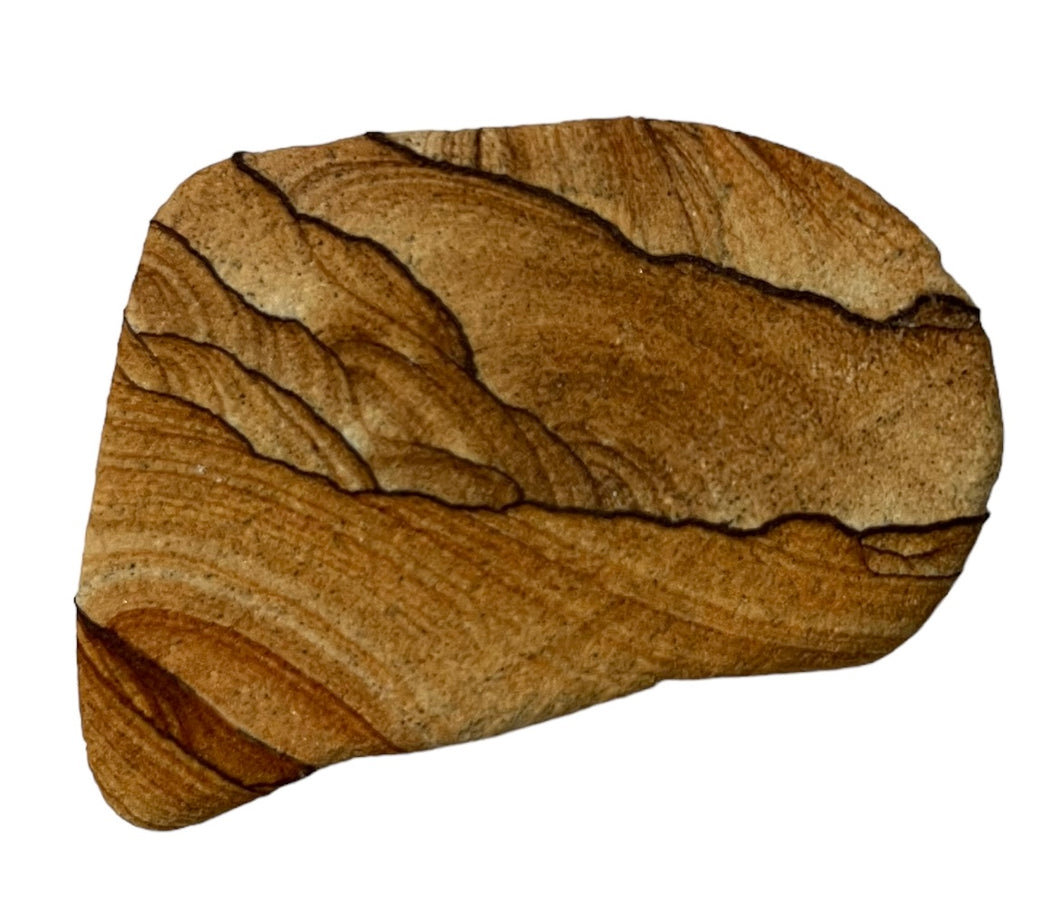 Sandstone Zion Magnet