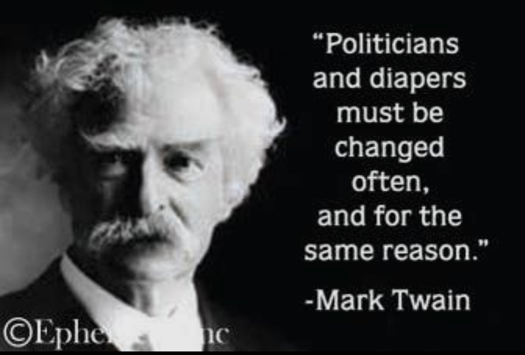 Politicians and Diapers - Magnet