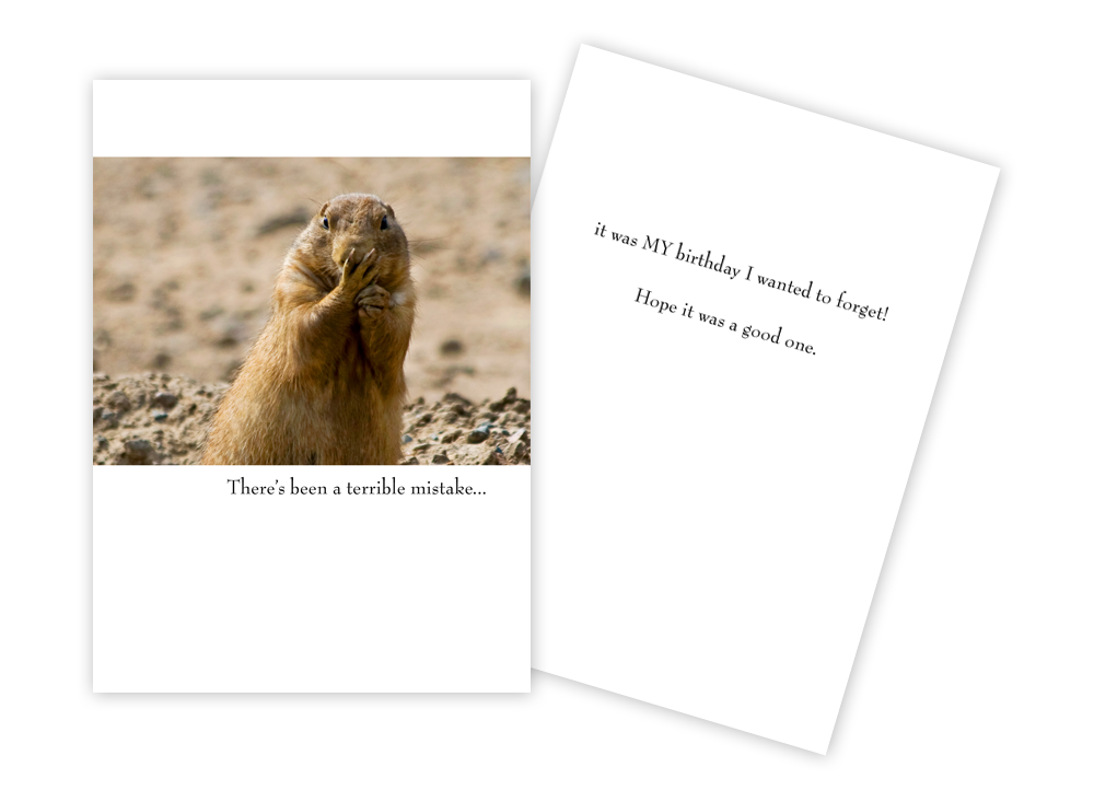 Terrible Mistake Birthday Card