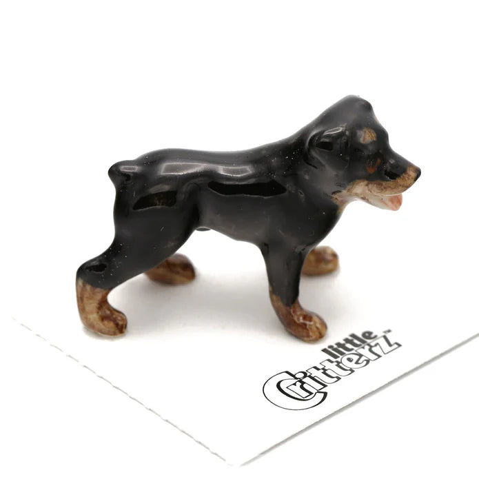 Raina Rottweiler