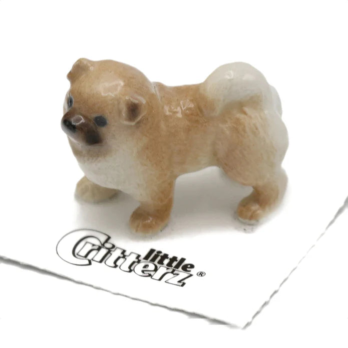 Pinyin Chow Chow