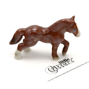 Chestnut Thoroughbred