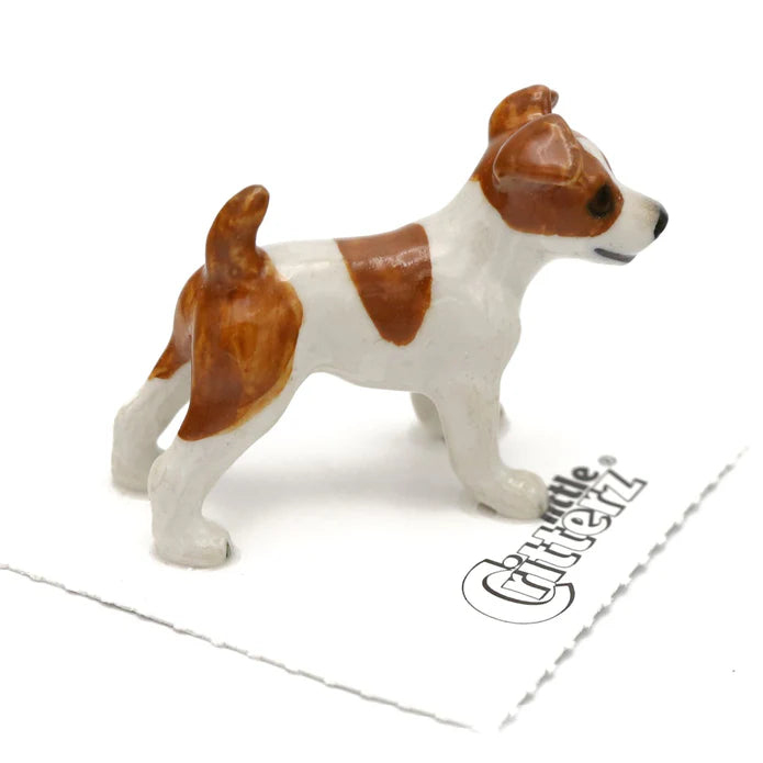 Ajax Jack Russell