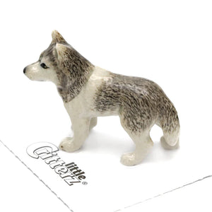 Silver Siberian Huskey