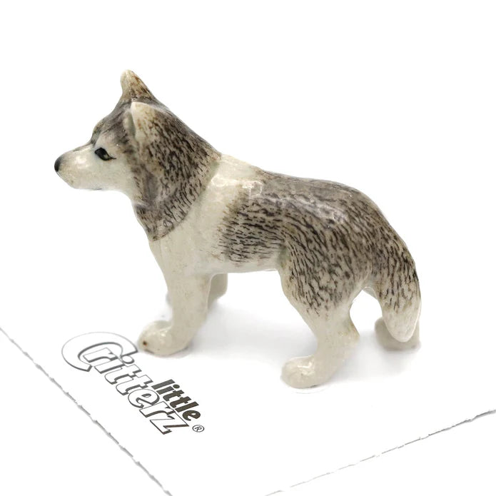Silver Siberian Huskey
