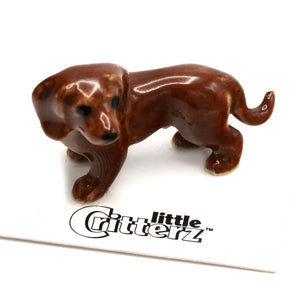 Julie Red Dachsund