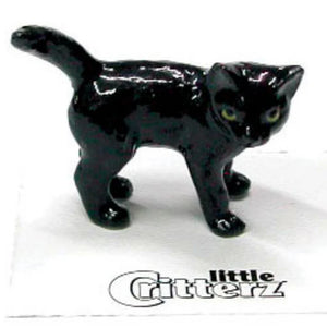 Onyx Black Kitten