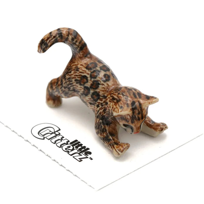 Simba Bengal Kitten