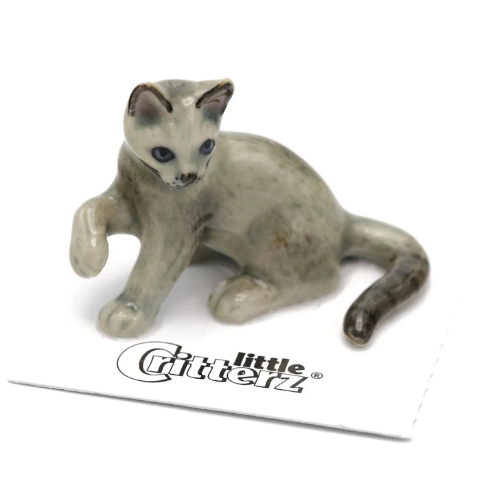 Silver Russian Blue Kitten