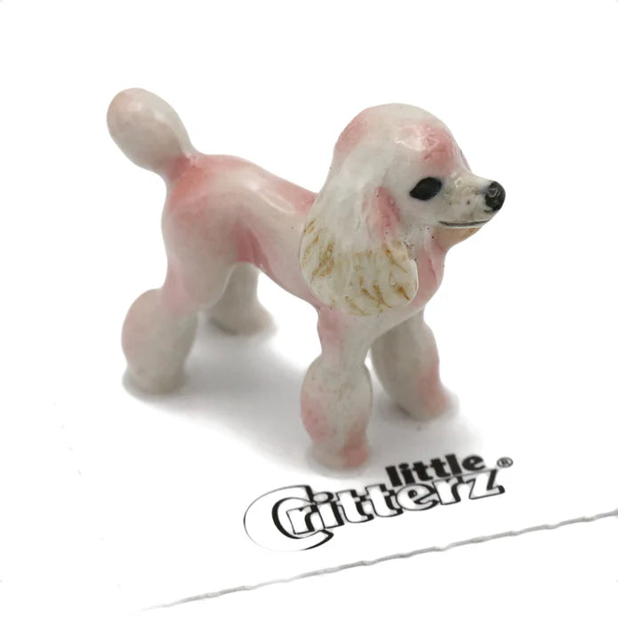 Pink Poodle