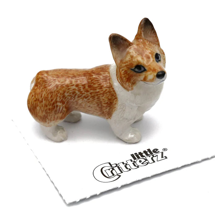 Sasha Corgi Pembroke