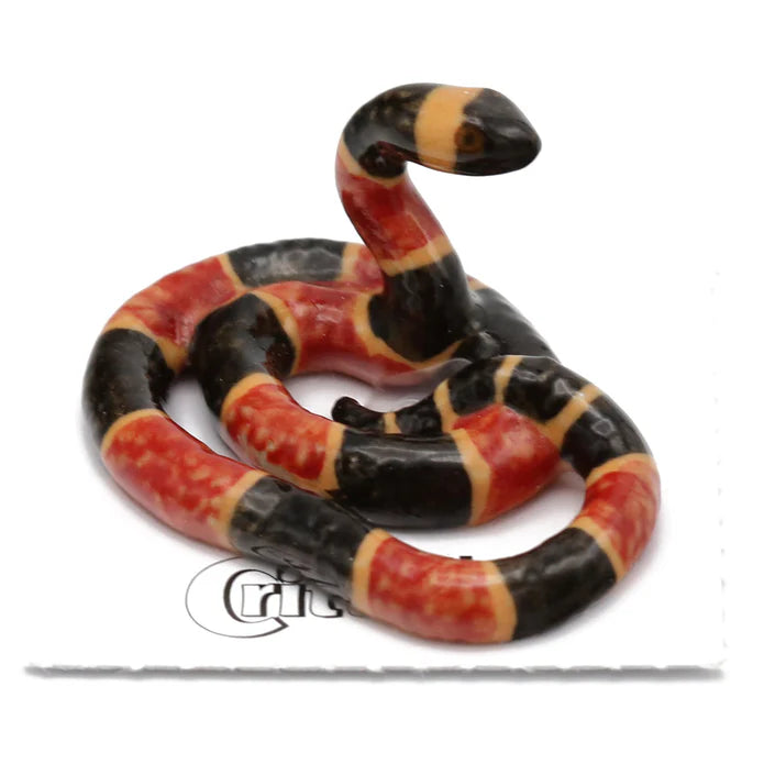 Rhyme Coral Snake