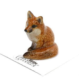 Brush Red Fox Sitting