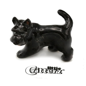 Skye Black Scottie