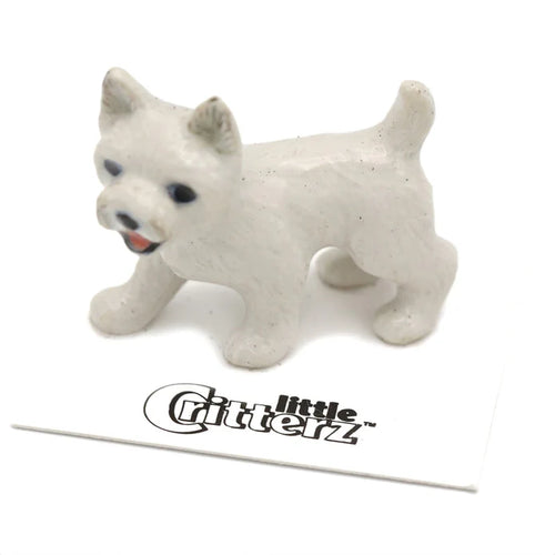 Bailey Westie