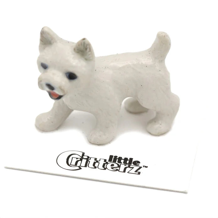 Bailey Westie