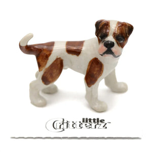 Aspen American Bulldog