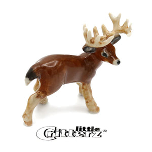 Buck Deer