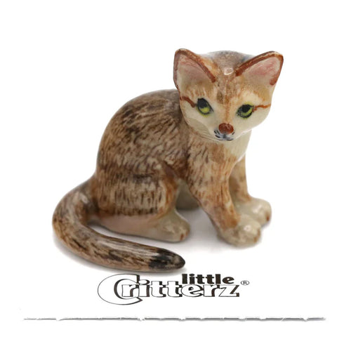 Dune Sand Cat