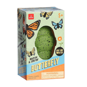 Grow Butterfly