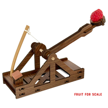 Mini Catapult Building Kit