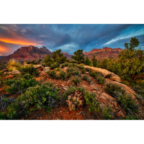 Canyon Spring Greeting Card