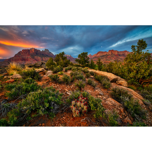 Canyon Spring Greeting Card