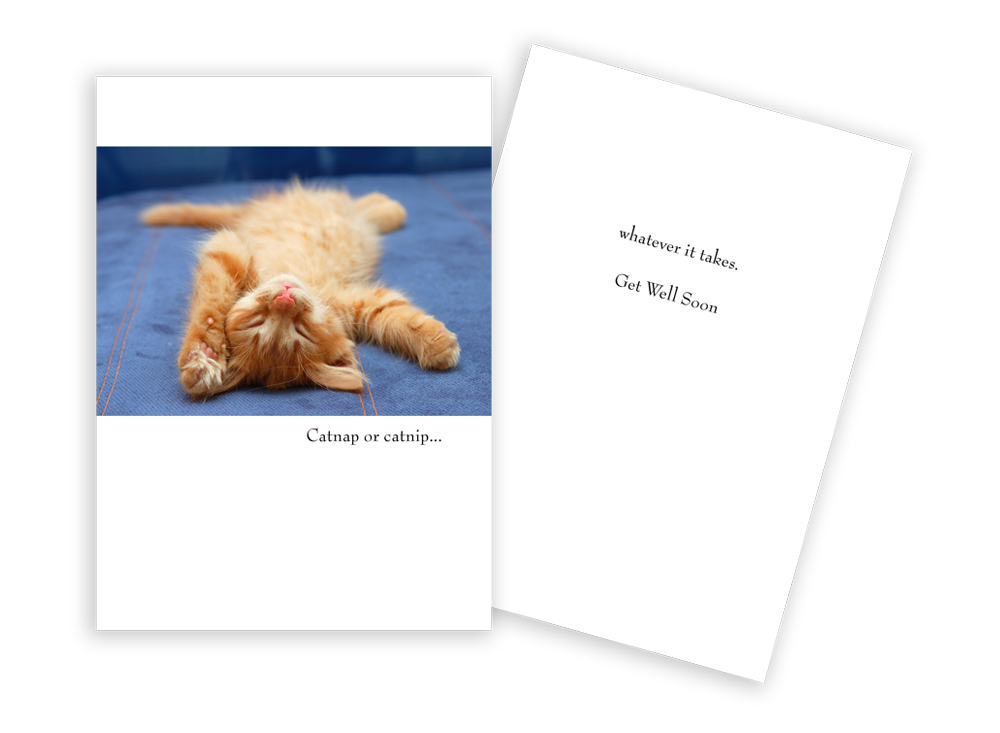 Catnap or Catnip Get Well Soon Card